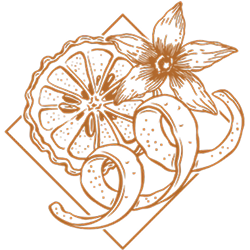 image 10 (2).png
