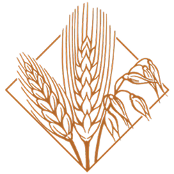image 10.png