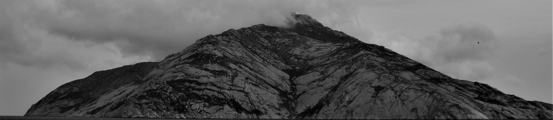 Monte Cristo Monte Cristo